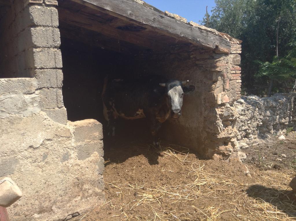 Antico Frantoio Villa Cerchiara di Calabria Eksteriør billede